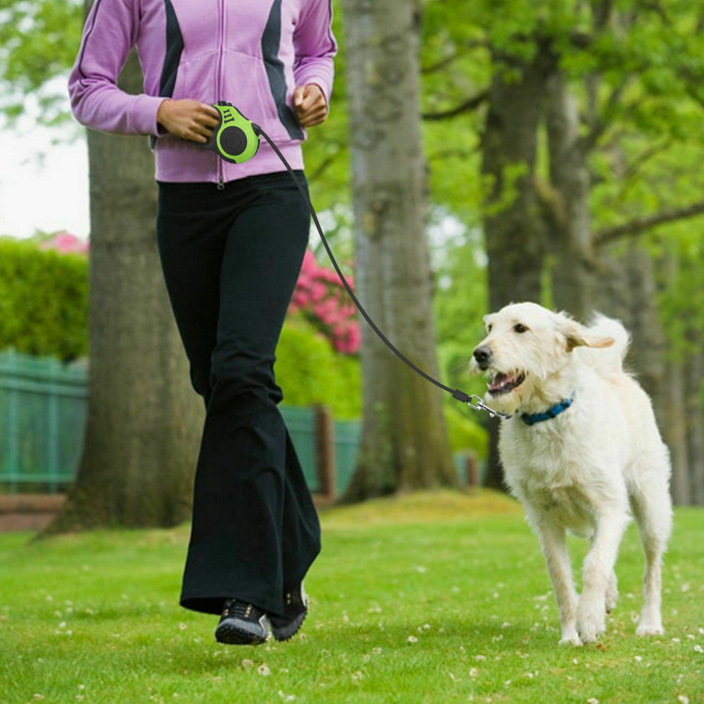 Laisse rétractable automatique pour chien pour un contrôle facile et confortable de la marche