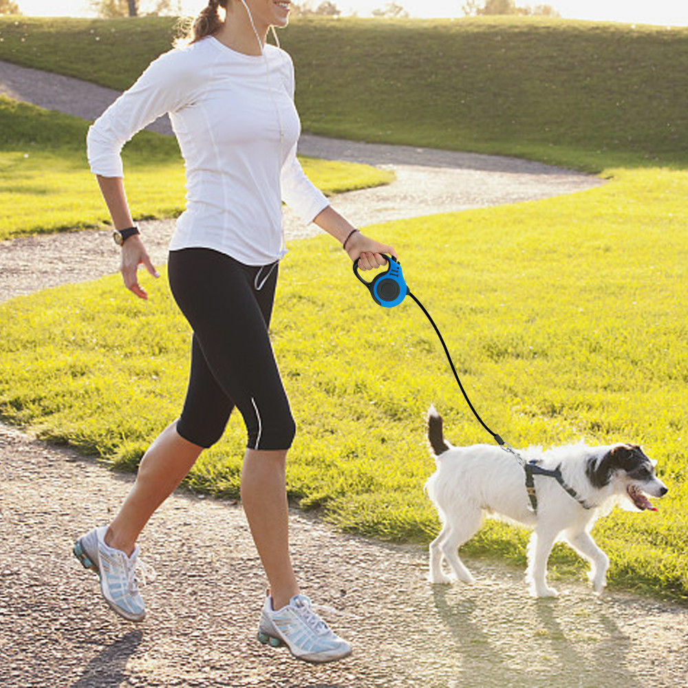 Laisse rétractable automatique pour chien pour un contrôle facile et confortable de la marche